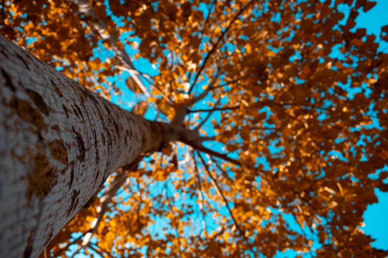 Ceyhan'da Doğa Fotoğrafçılığı Ceyhan'da Doğa Fotoğrafçılığı