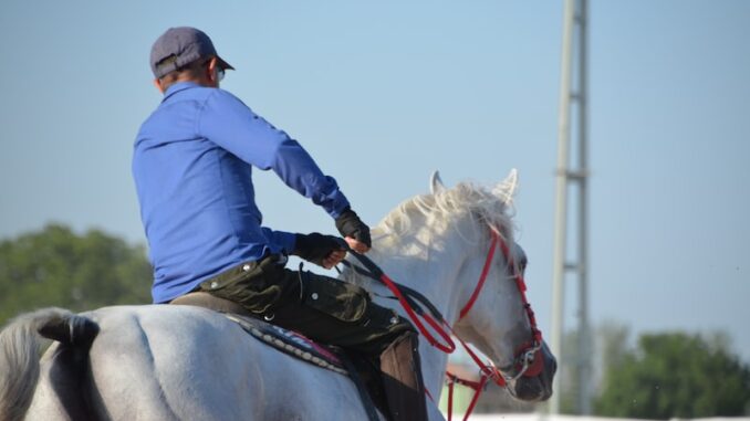 uploaded-image-ceyhanda-spor-takimlari-1697107665803