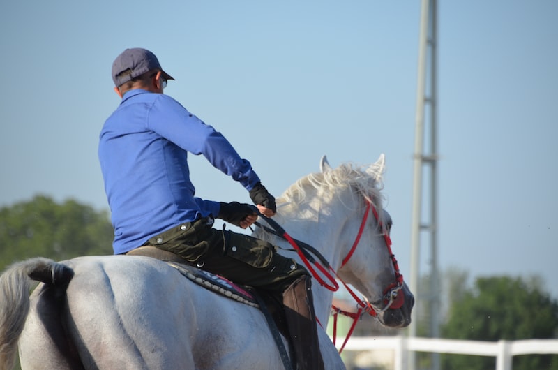Ceyhan'da Spor Takımları Ceyhan'da Spor Takımları