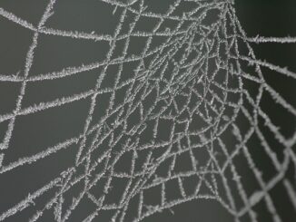 9. "Web Tasarımında Hata Yapmaktan Kaçınmanın 10 Yolu"